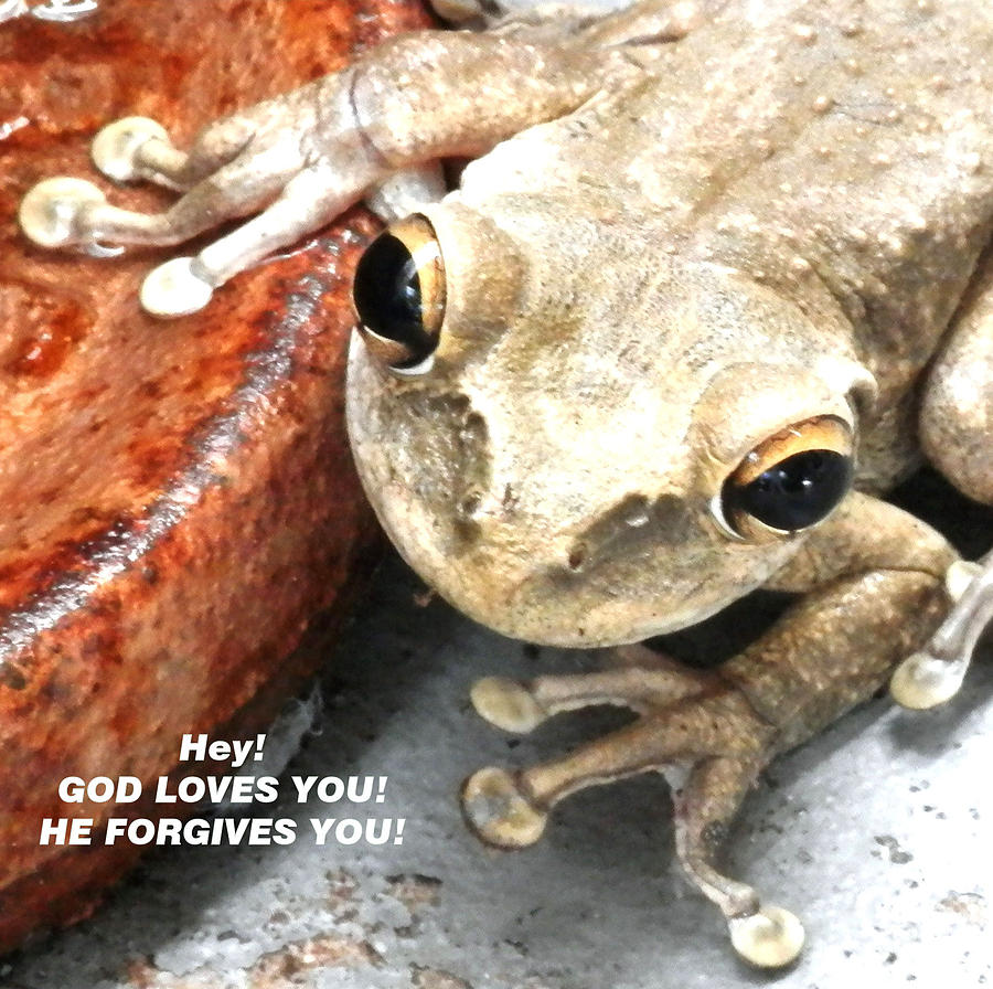 Frog Talk Photograph by Belinda Lee