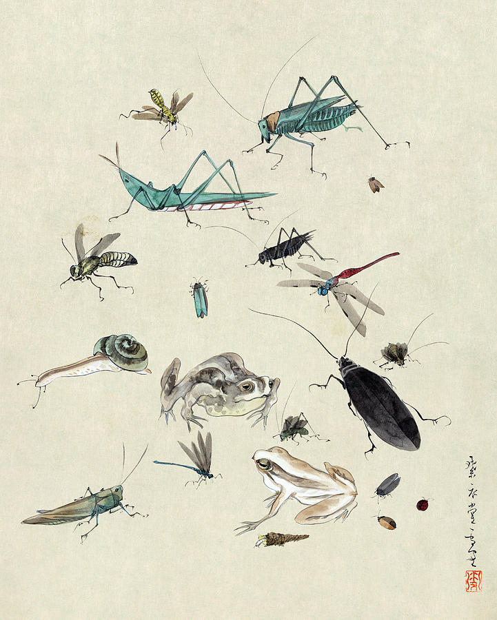 Frogs And Insects Painting by Granger