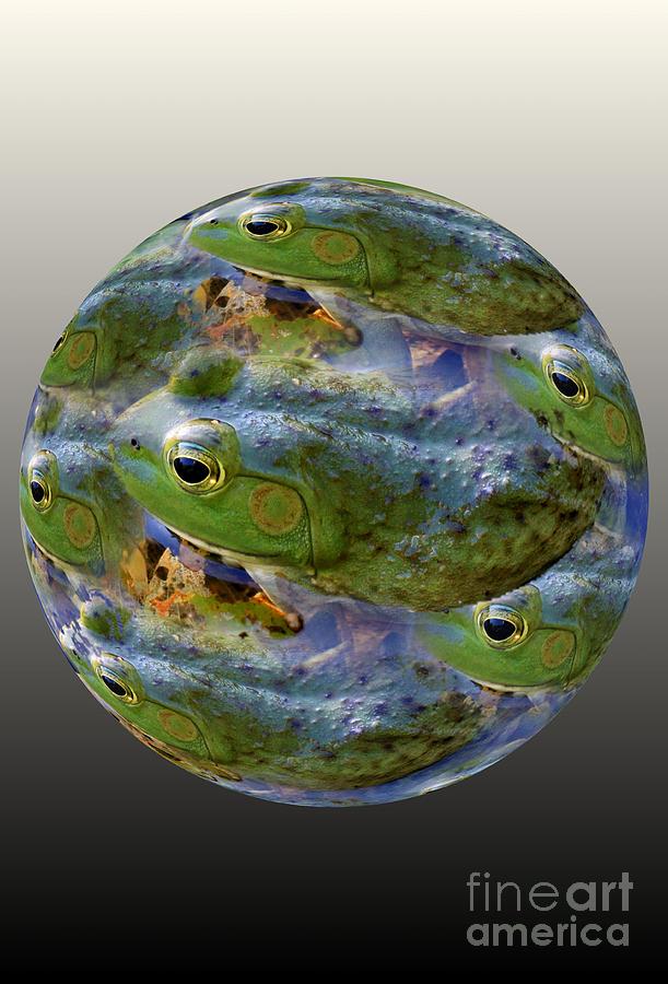 Frogs Eye View 3 Photograph by Rick Rauzi