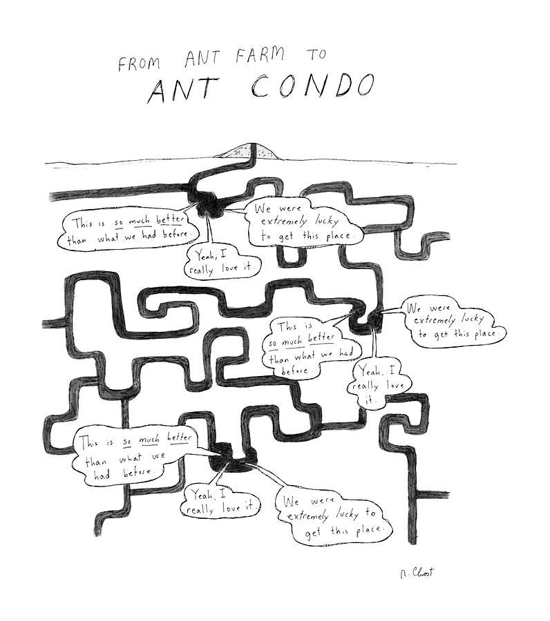 Interiors Drawing - From Ant Farm To Ant Condo by Roz Chast