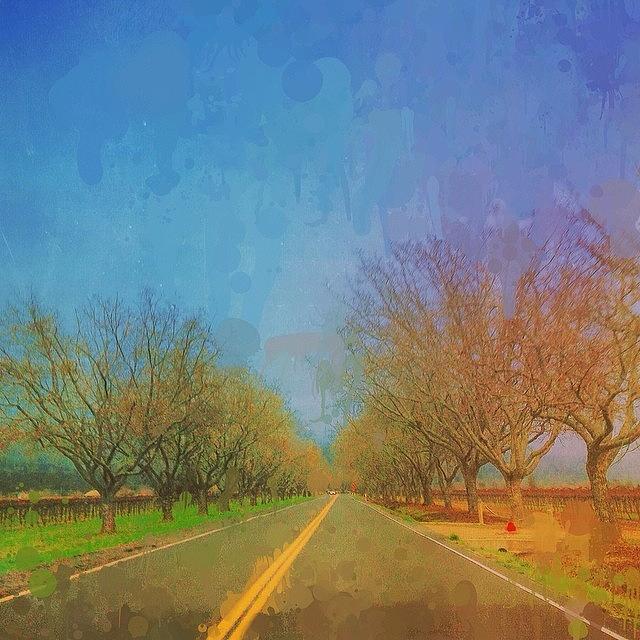 Color Photograph - From #cuerockstar #iphoneart Taken by Nicole Dalesio