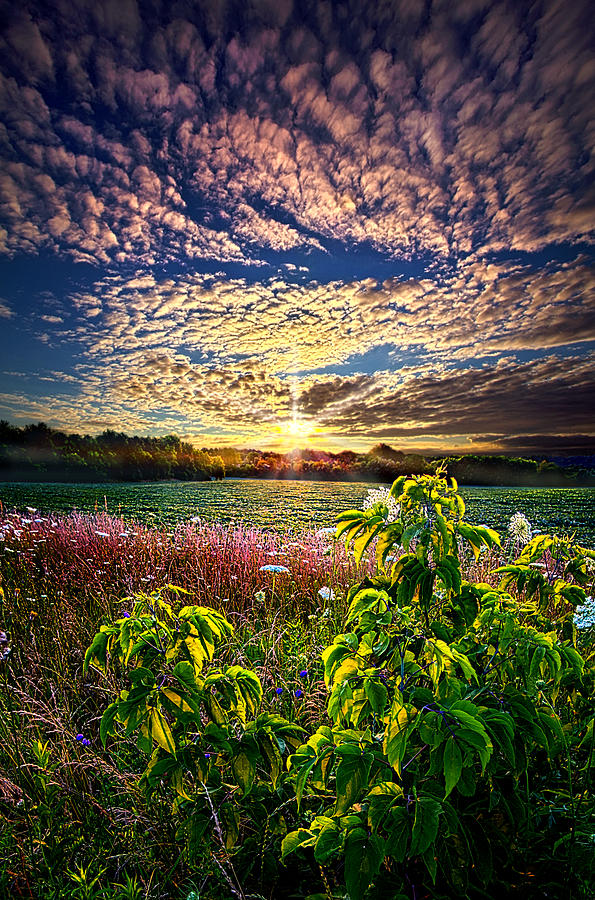Nature Photograph - From Here To Eternity by Phil Koch