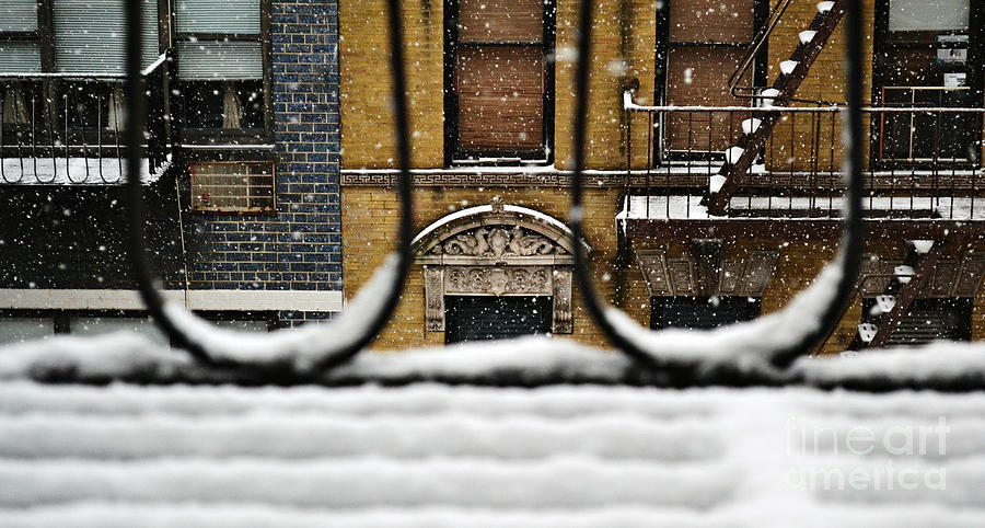 Winter Photograph - From My Fire Escape - Arches in the Snow by Miriam Danar