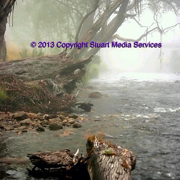 From My Mystical Morning Series Photograph by Blair Stuart
