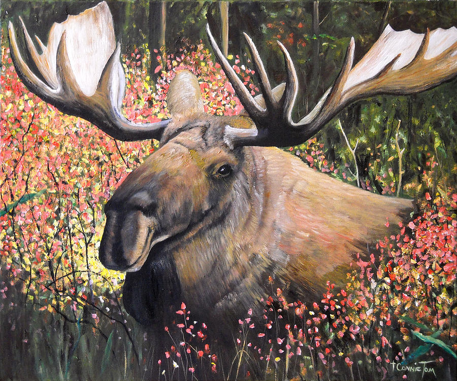 From Out of Nowhere - Moose Painting by Connie Tom | Fine Art America