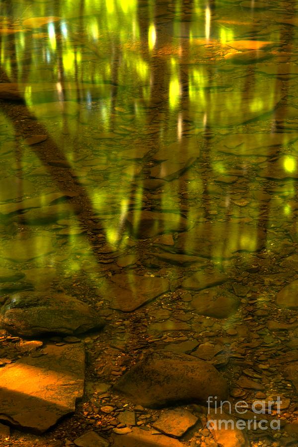 From River Rocks To Forest Reflections Photograph by Adam Jewell