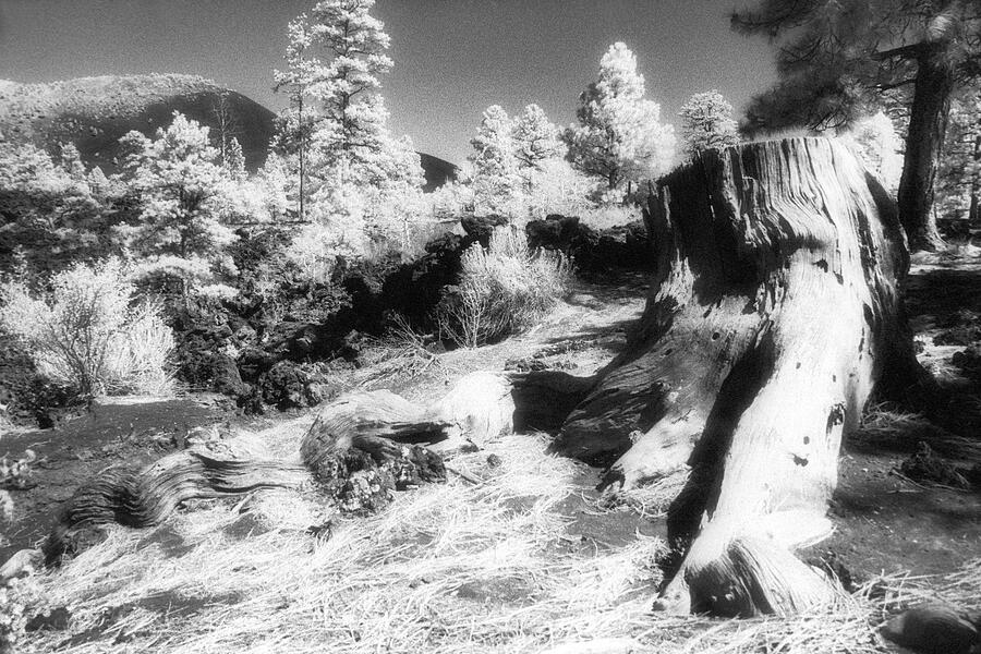 From the Crater Slope - Infrared Photograph by Paul W Faust -  Impressions of Light