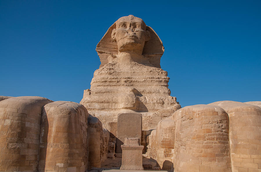 From the Feet of the Sphinx Photograph by Michael Brewer