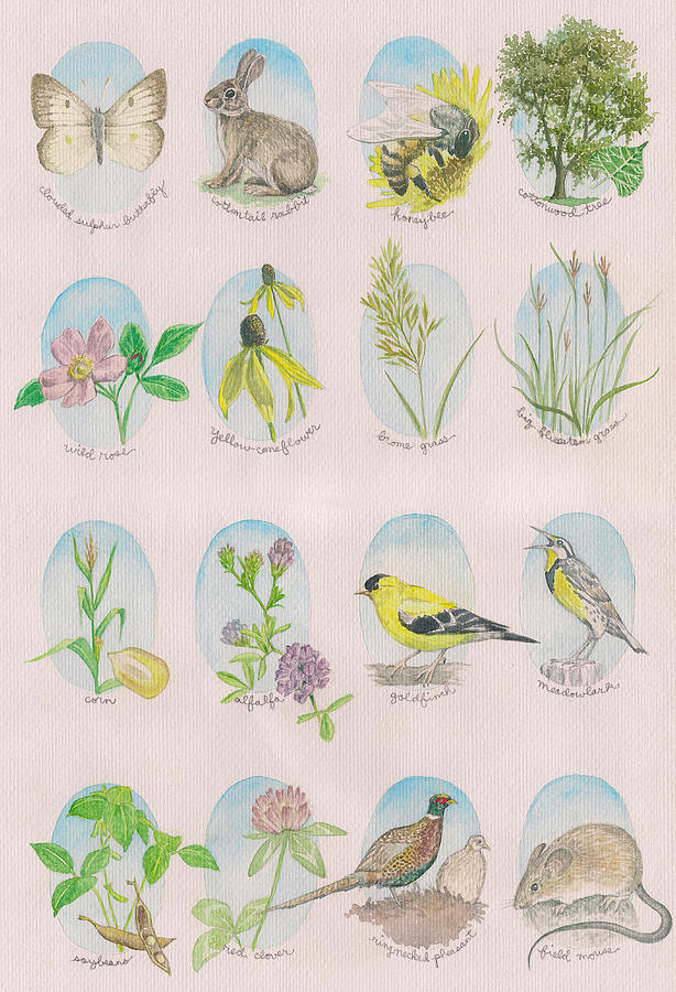 Nature Painting - From The Fields And Fencelines by Hollie Reilly Nature Painting - From The Fields And Fencelines by Hollie Reilly