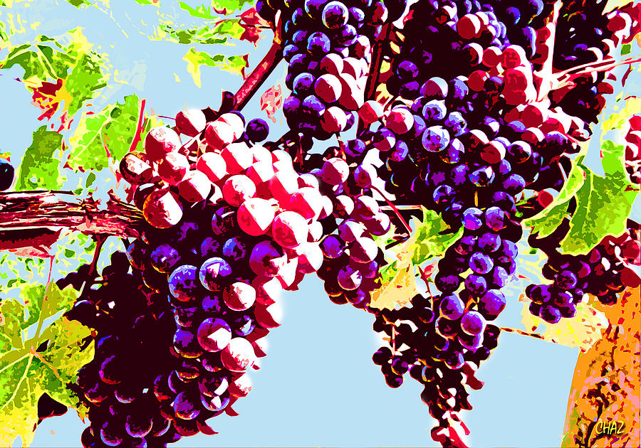 From the grape comes the wine Painting by CHAZ Daugherty
