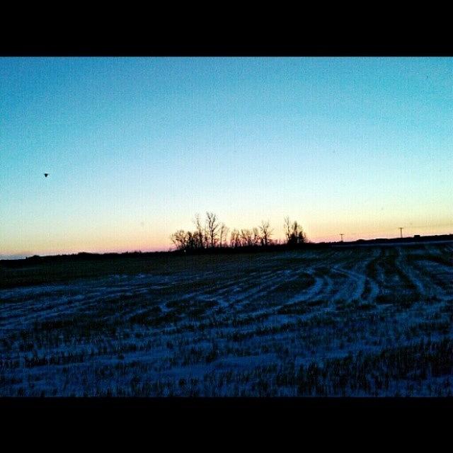 Saskatchewan Photograph - From The Morning #drive #sk #sask by Trenton Entwistle