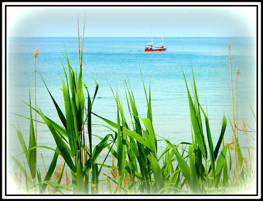 From the Shores of Lake Erie Photograph by Kathy Barney