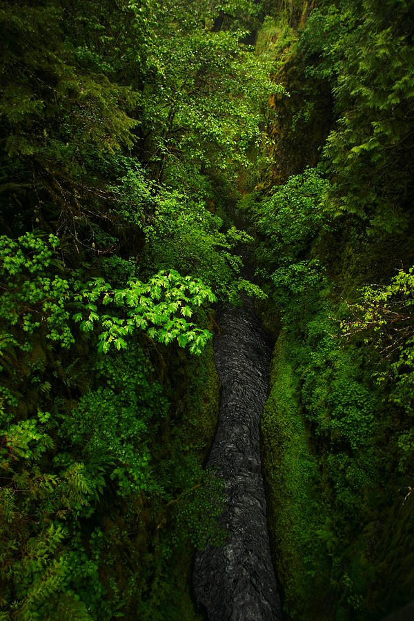 From The Tall Bridge On Eagle Creek Trail Photograph by Jeff Swan