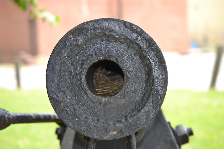 Landmark Photograph - Front of a Canon  by Kim Stafford