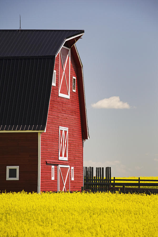 Front Of A Red Barn Photograph by Michael Interisano