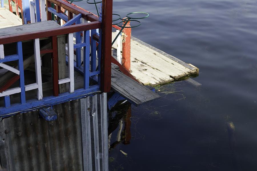 Front part of a houseboat and the weeds and water of the Dal Lake Photograph by Ashish Agarwal