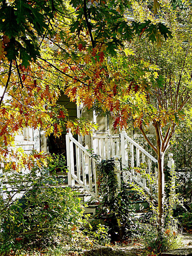 Front Porch Color Photograph by Pamela Patch