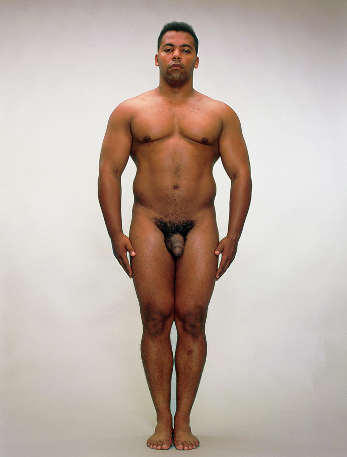 Front View Of A Healthy Naked Man by Hattie Young/science Photo Library