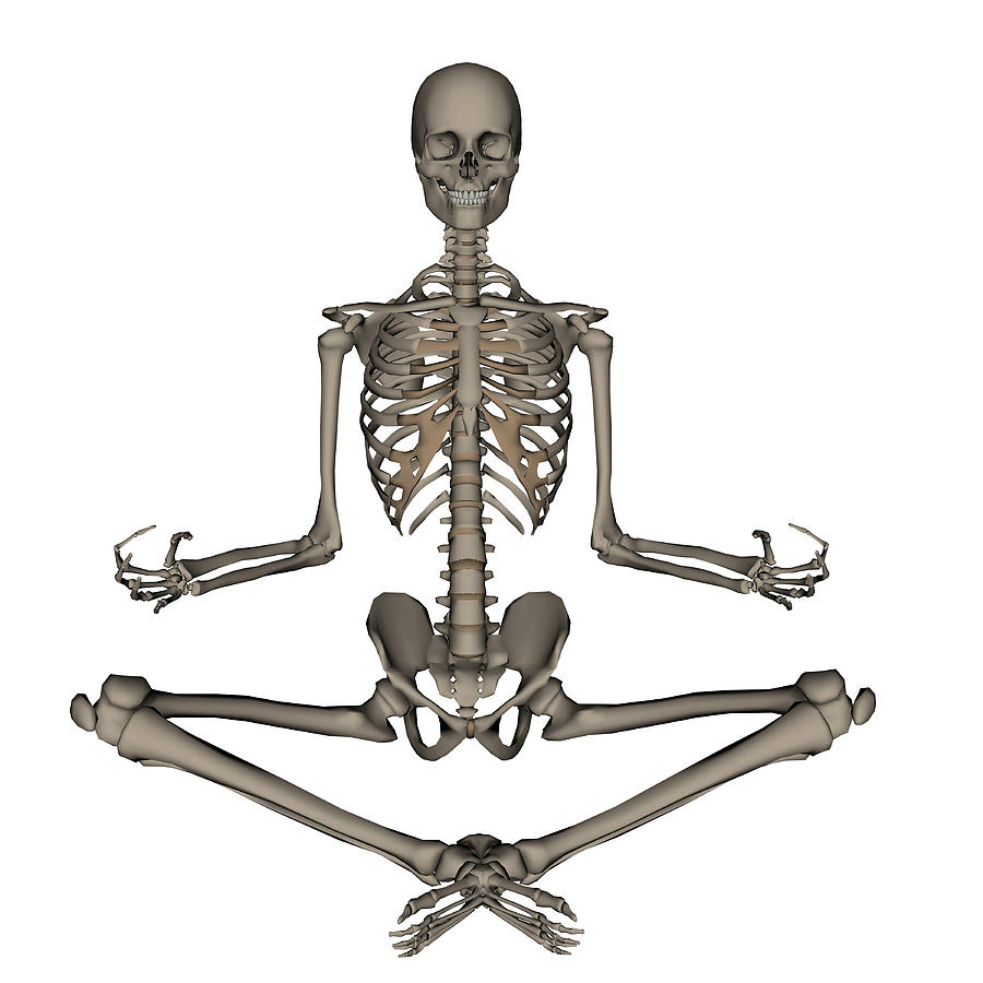 Front View Of Human Skeleton Meditating Photograph by Elena Duvernay ...