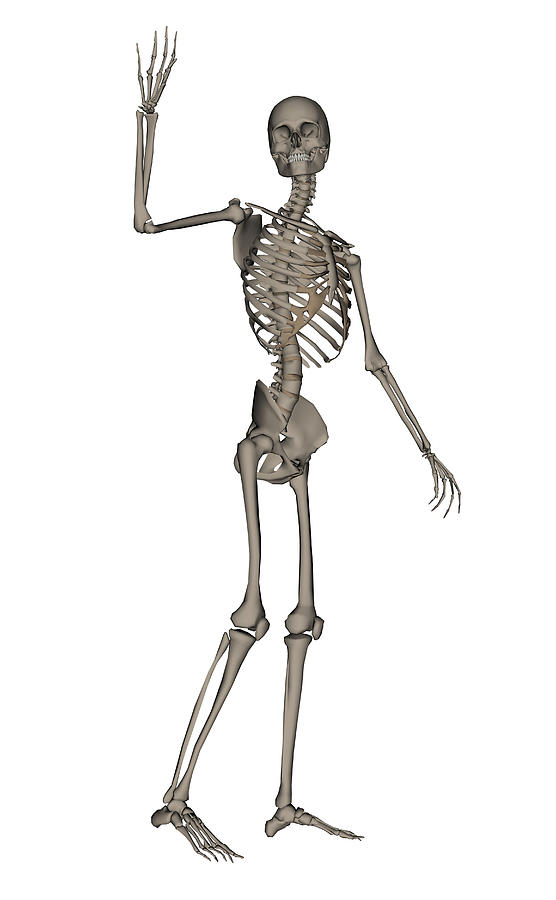 Waving Skeleton Gif