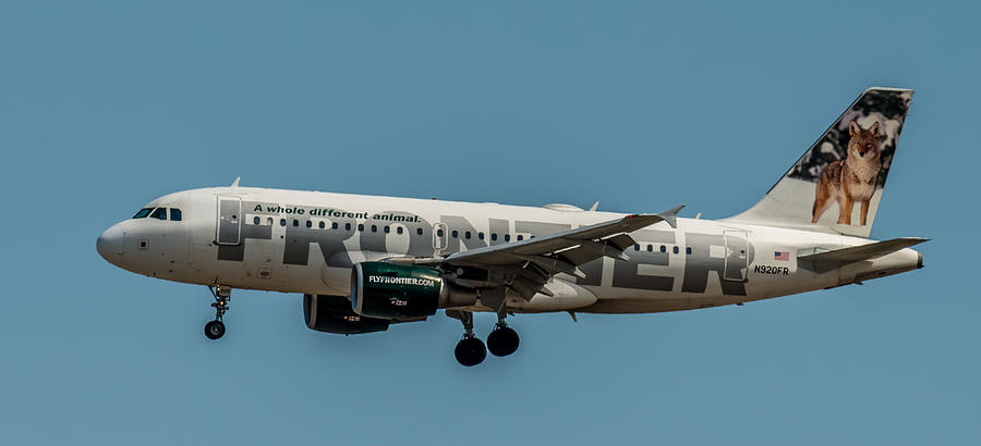 Transportation Photograph - Frontier Airlines 737 by Paul Freidlund