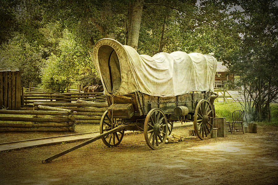 Vintage Photograph - Frontier Covered Wagon by Randall Nyhof