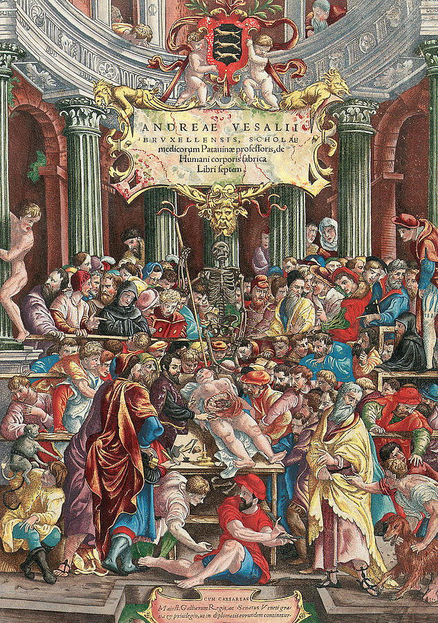 Book Painting - Frontispiece to De Humani Corporis Fabrica Libri Septem by Venetian School