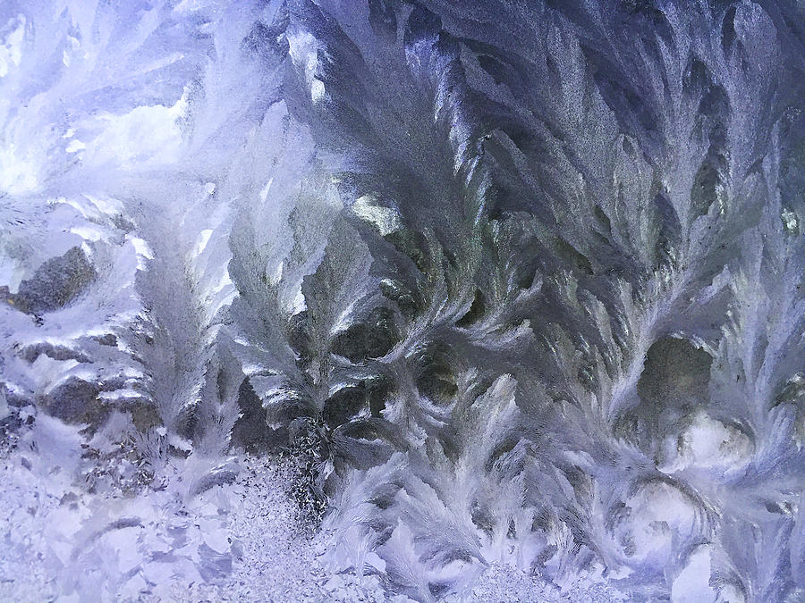 Winter Photograph - Frost #2 by Jeff Klingler