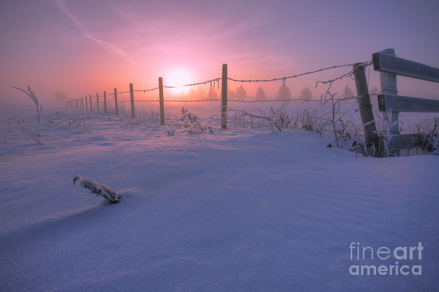 Winter Photograph - Frost and Fenceline by Dan Jurak