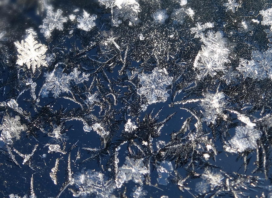 Frost and Snow Crystals Photograph by Kathleen Luther
