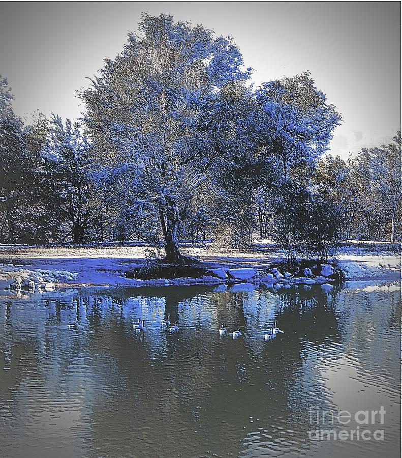 Frost blue Photograph by Michelle Frizzell-Thompson