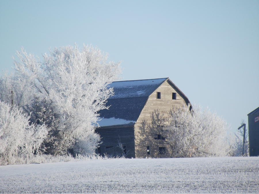 Frost Farm Photograph by Bonfire Photography
