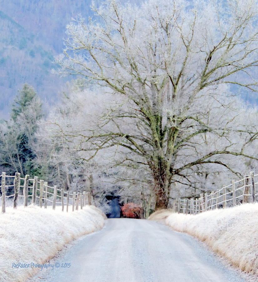 Frost Laden Road Photograph by Roe Rader