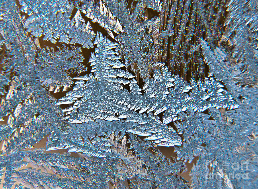 Frost Macro Photograph by Cheryl Baxter