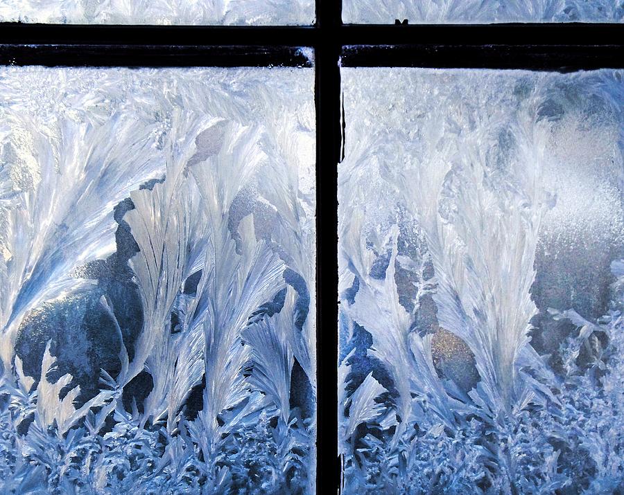 Frost Magic Photograph by Joy Nichols