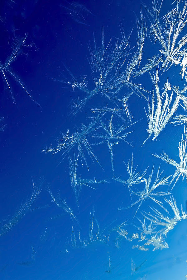 Frost on a window  Photograph by Sven Brogren