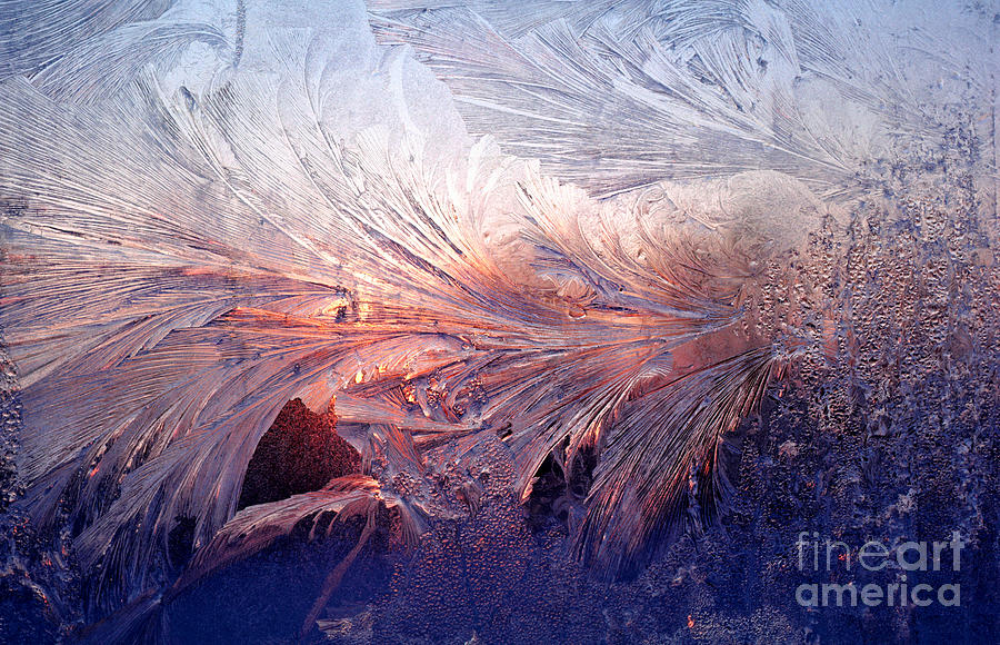 Frost on a Windowpane at Sunrise Photograph by Thomas R Fletcher