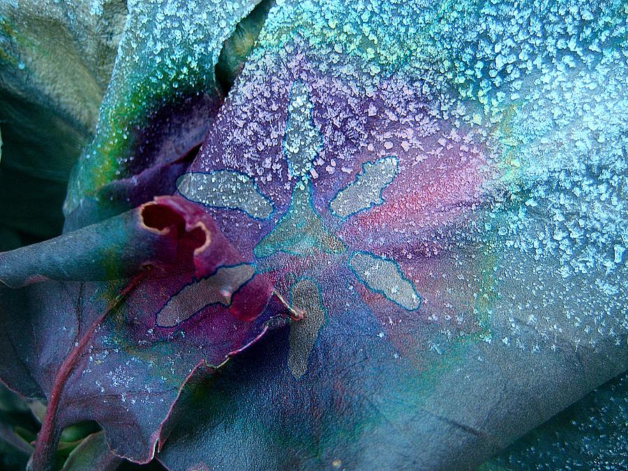 Abstract Expressionism Photograph - Frost on Turquoise by Shirley Sirois
