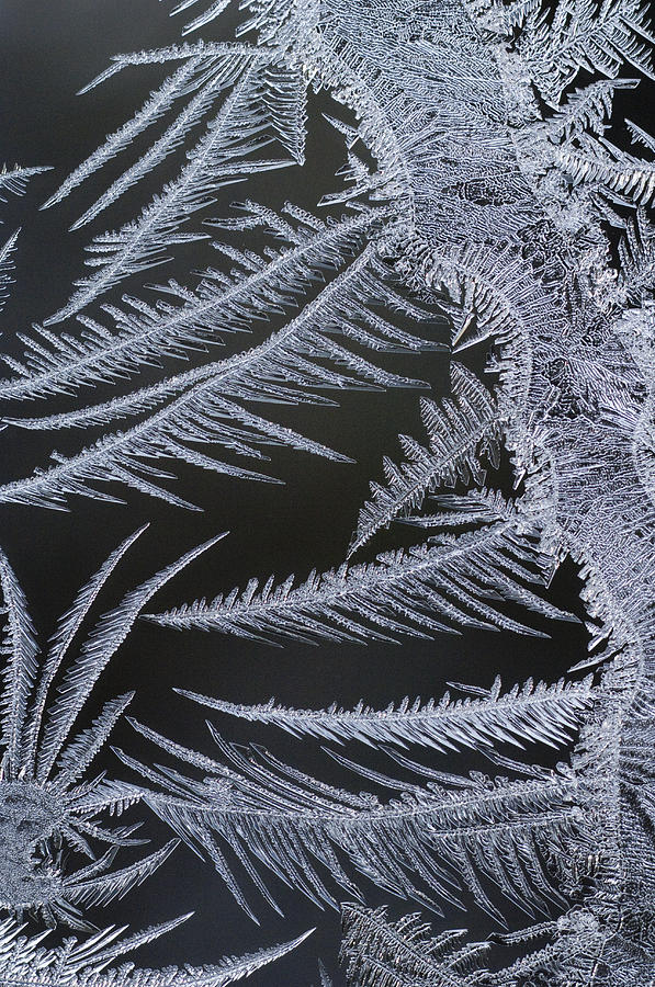 Frost On Window Alaska Photograph by Michael Quinton