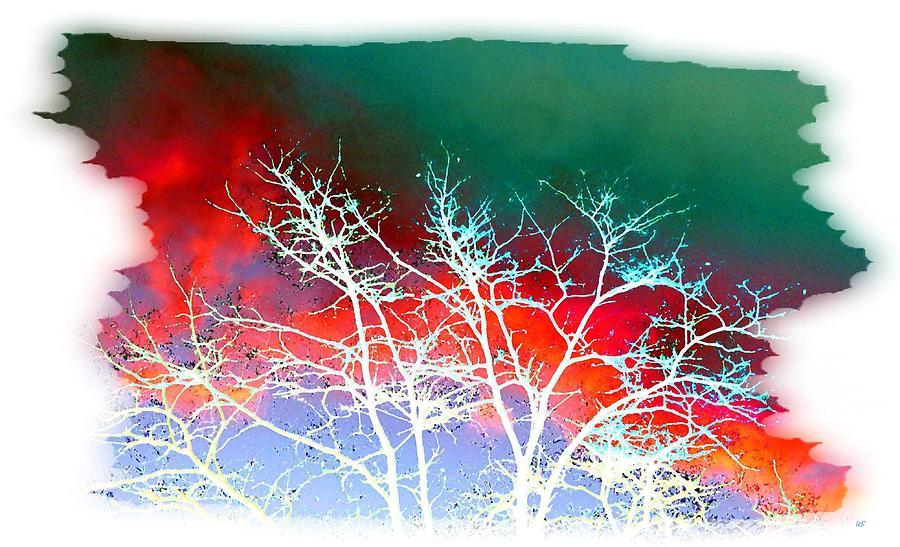 Frost Shrouded Tree Digital Art by Will Borden