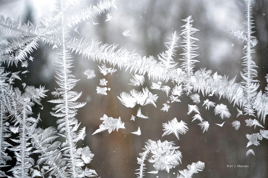 Winter Photograph - 0011    Frost Winter Wonderland by Karl Marean