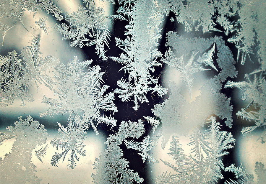 Frostbitten Window Photograph by Carrie Ann Grippo-Pike