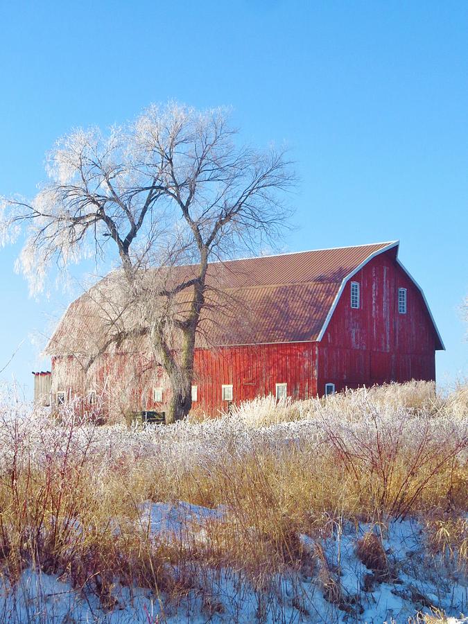 Frosted Country Morning Photograph by Lori Frisch