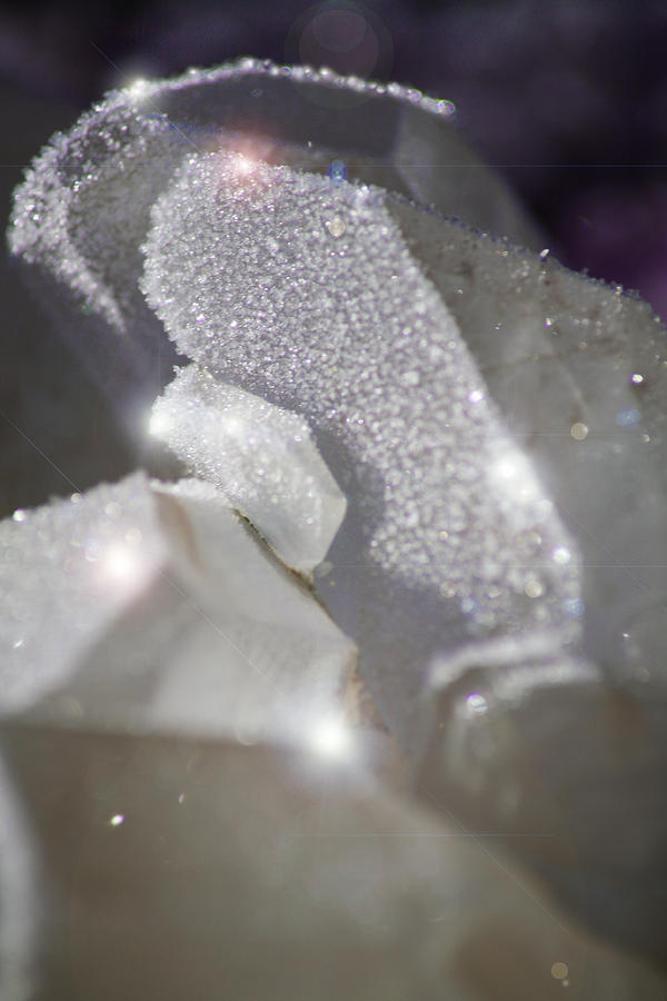 Frosted Crystals Photograph by Ave Guevara
