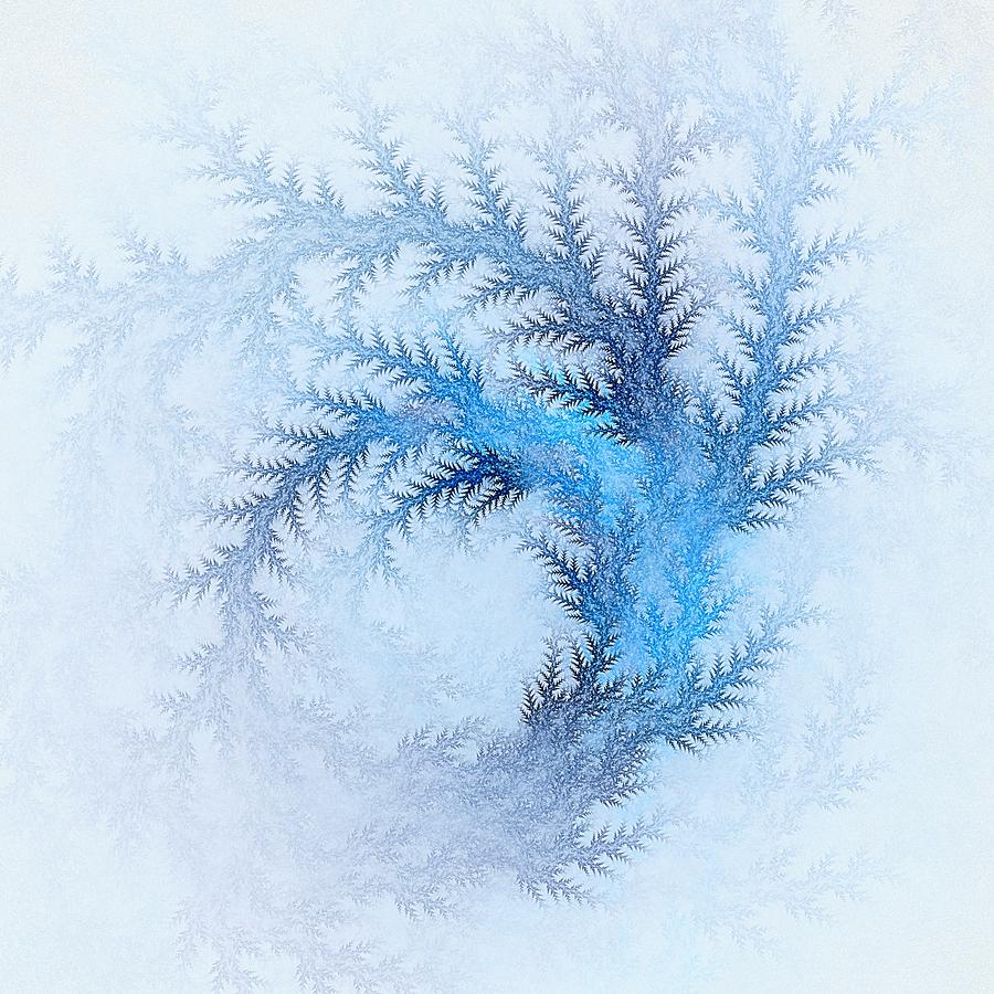 Frosted Fractal Ferns Digital Art by Doug Morgan
