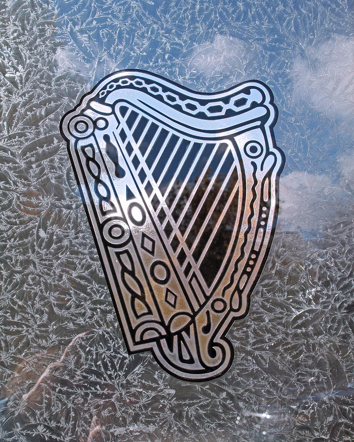 Frosted Harp Photograph by Barbara McDevitt