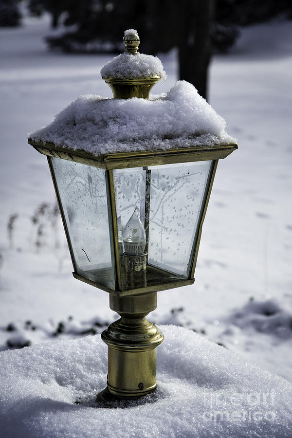 Frosted Lamp Photograph by Timothy Hacker
