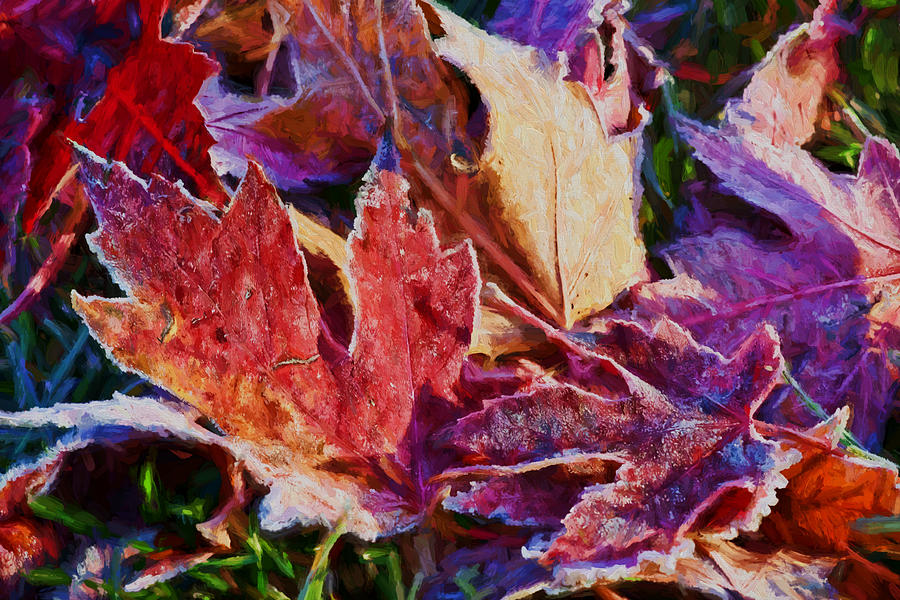 Frosted Leaves #2 - Painted Photograph by Nikolyn McDonald