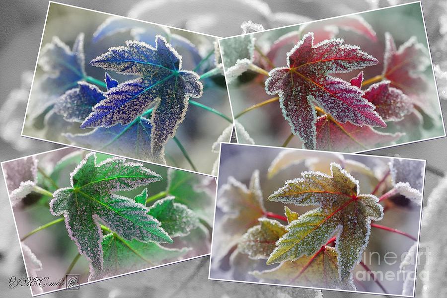 Frosted Maple Leaves Pop Art Shades Painting by J McCombie