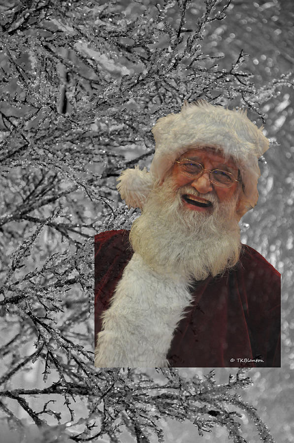 Frosted Santa Photograph by Teresa Blanton